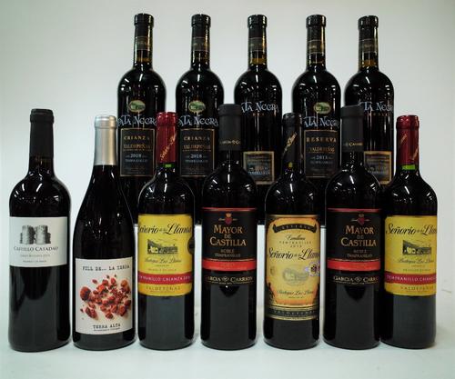 12 BOTTLES SPANISH RED WINE