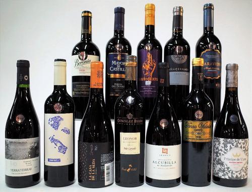 11 BOTTLES SPANISH RED WINE AND 1 BOTTLE SHERRY