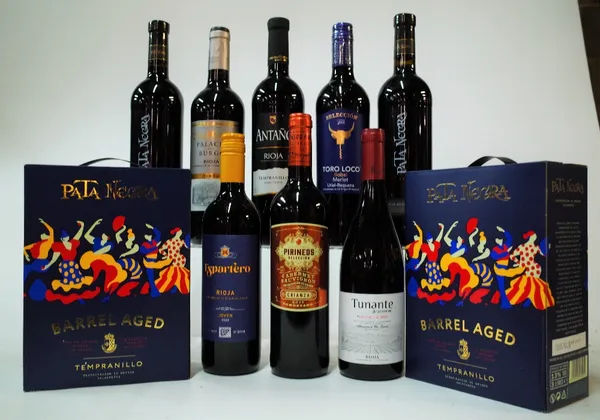 8 BOTTLES AND 2 BOXES SPANISH RED WINE