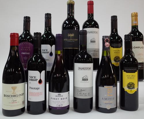 12 BOTTLES SOUTH AFRICAN AND SOUTH AMERICAN RED WINE