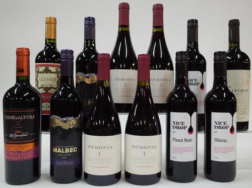 12 BOTTLES ARGENTINIAN RED WINE