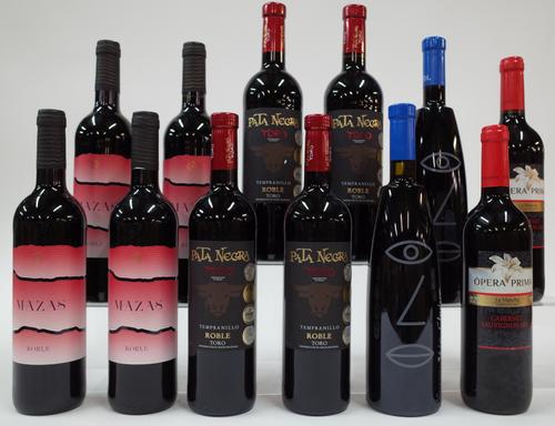 12 BOTTLES SPANISH RED WINE