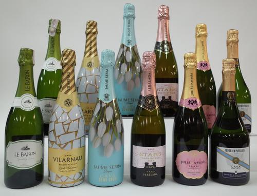 10 BOTTLES CAVA AND 2 EGYPTIAN SPARKLING WINE