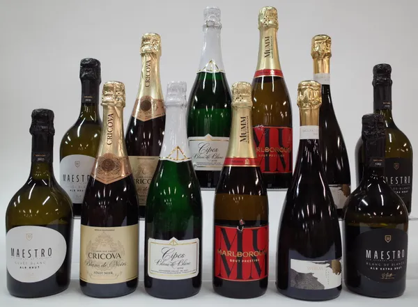 12 BOTTLES SPARKLING WINE