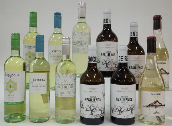 12 BOTTLES ITALIAN WHITE WINE