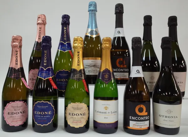 12 BOTTLES SPARKLING WINE