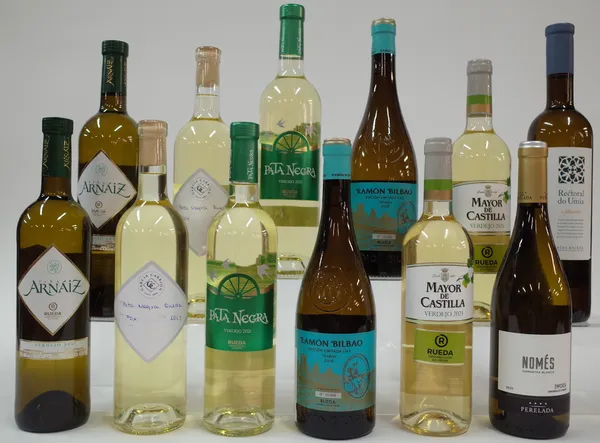 12 BOTTLES SPANISH WHITE WINE