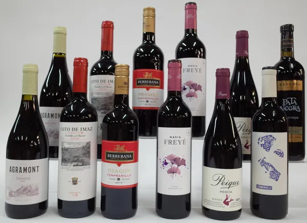 12 BOTTLES SPANISH RED WINE