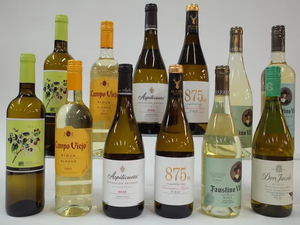 12 BOTTLES SPANISH WHITE WINE