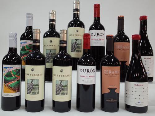 12 BOTTLES SPANISH RED WINE