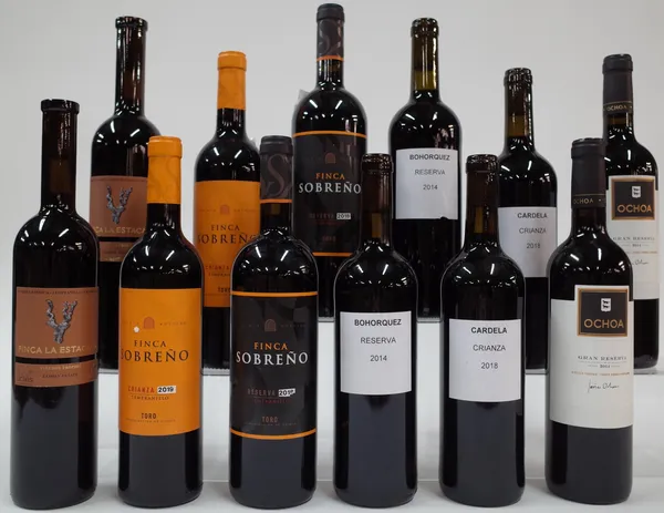 12 BOTTLES SPANISH RED WINE