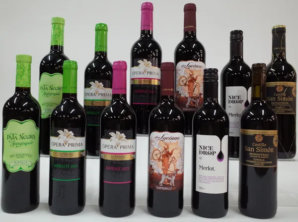 12 BOTTLES SPANISH RED WINE