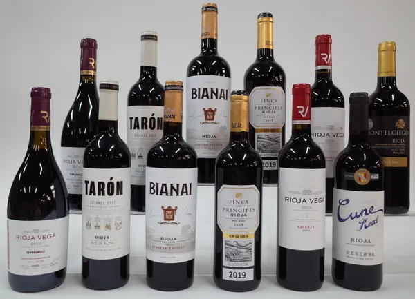 12 BOTTLES SPANISH RED WINE