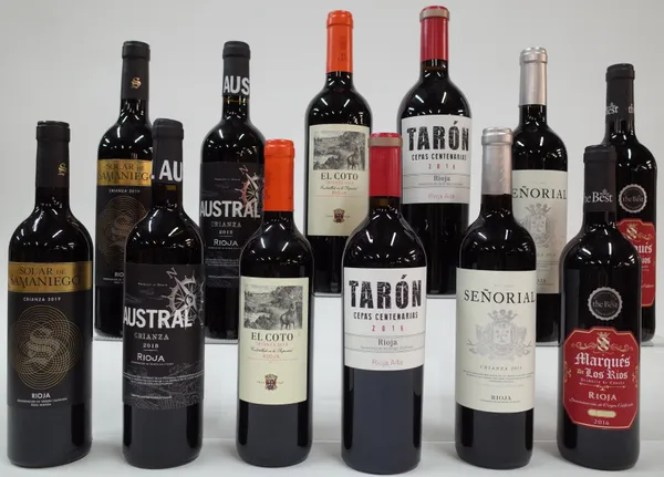 12 BOTTLES SPANISH RED WINE