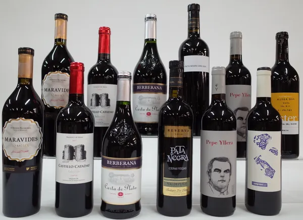 12 BOTTLES SPANISH RED WINE