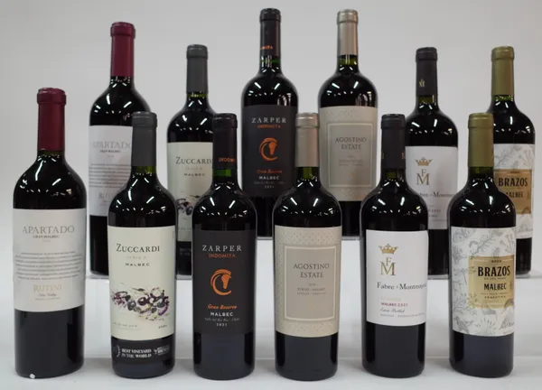 12 BOTTLES ARGENTINIAN RED WINE