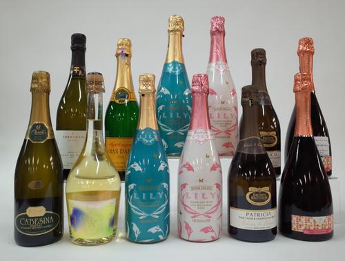 12 BOTTLES SPARKLING WINE
