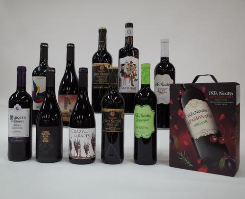 10 BOTTLES AND 1 BOX SPANISH RED WINE