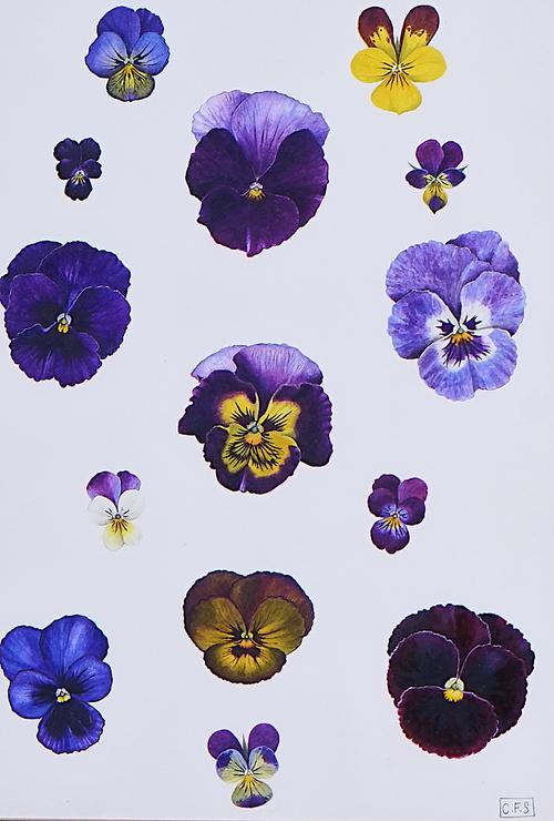 CHRISTINE STEPHENSON (BRITISH, 20TH CENTURY) (3)