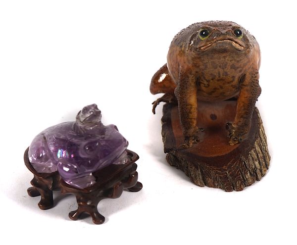 TAXIDERMY: A TOAD MOUNTED ON A WOODEN STAND (2)