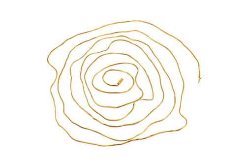 A GOLD FINE MESH LINK LONG CHAIN