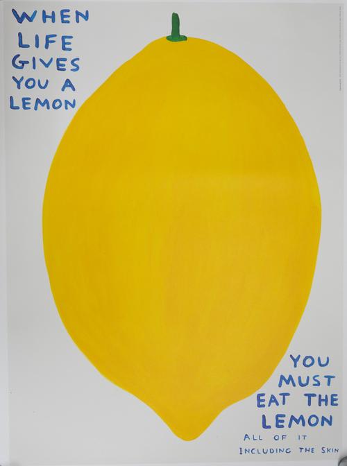 DAVID SHRIGLEY (BRITISH, B. 1968)