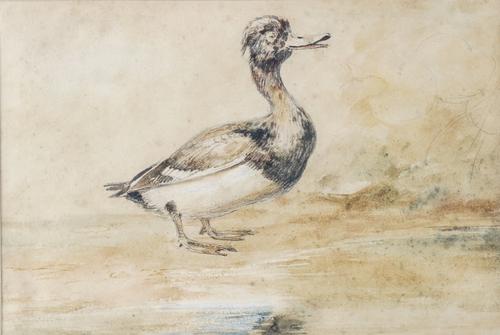 ATTRIBUTED TO NEWTON FIELDING (BRITISH, 1799-1856) (2)