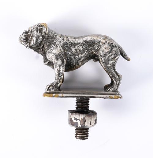 A PLATED BULLDOG CAR MASCOT