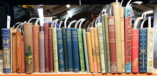 LANG, Andrew (1844-1912). The Violet Fairy Book, London, 1901, 8vo, original pictorial cloth. FIRST EDITION. With 29 other illustrated and children's books. (30)