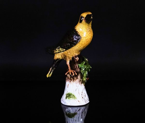 A Meissen outside-decorated figure of a woodpecker