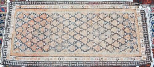 A South Persian Gelim