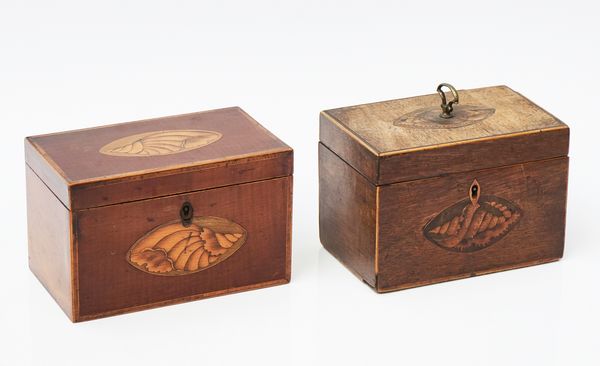 A GEORGE III CONCH SHELL INLAID RECTANGULAR FRUITWOOD TWIN DIVISION TEA CADDY