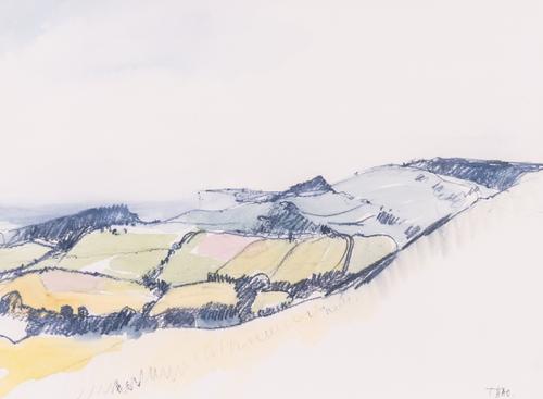 T*** D'AO (20TH CENTURY) (2)