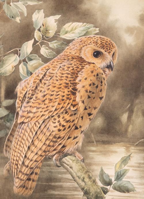 RENA FENNESSY (20TH CENTURY) (2)