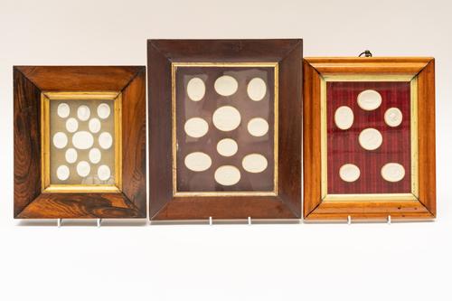 THREE FRAMED GROUPS OF PLASTER INTAGLIOS AFTER THE ANTIQUE (3)