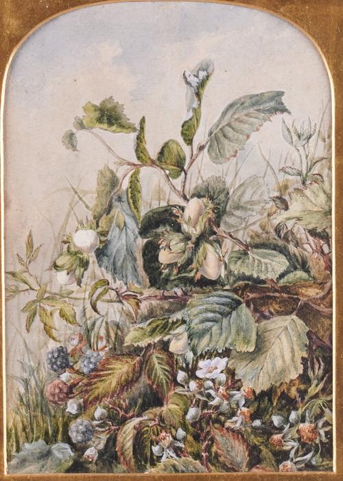 FOLLOWER OF ALBERT DURER LUCAS