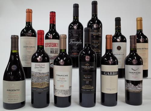 12 BOTTLES ARGENTINIAN RED WINE