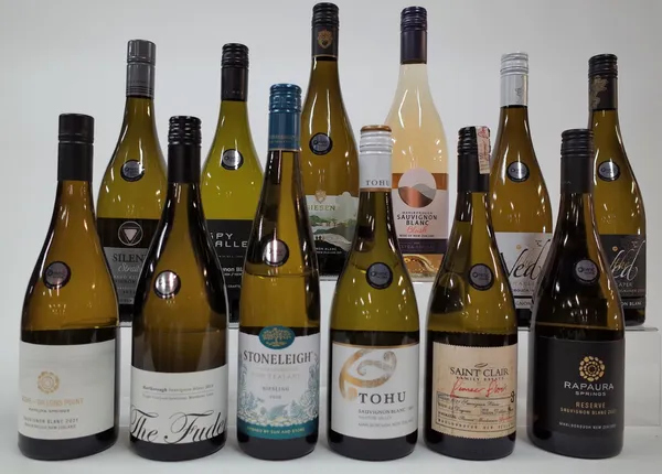 11 BOTTLES NEW ZEALAND SAUVIGNON BLANC AND 1 RIESLING