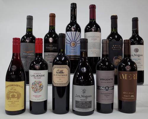 12 BOTTLES ARGENTINIAN RED WINE