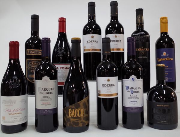 12 BOTTLES SPANISH RED WINE