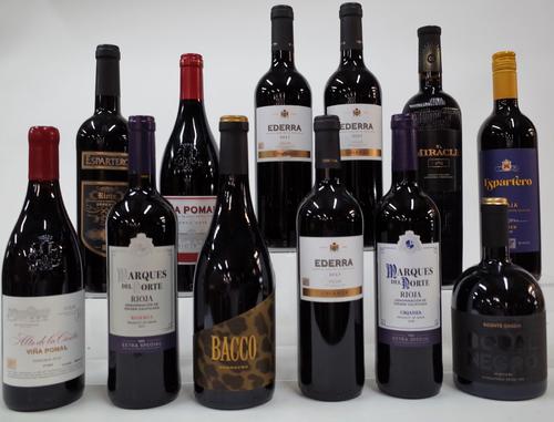 12 BOTTLES SPANISH RED WINE
