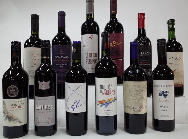 11 BOTTLES ARGENTINIAN MALBEC AND 1 PETIT VERDOT