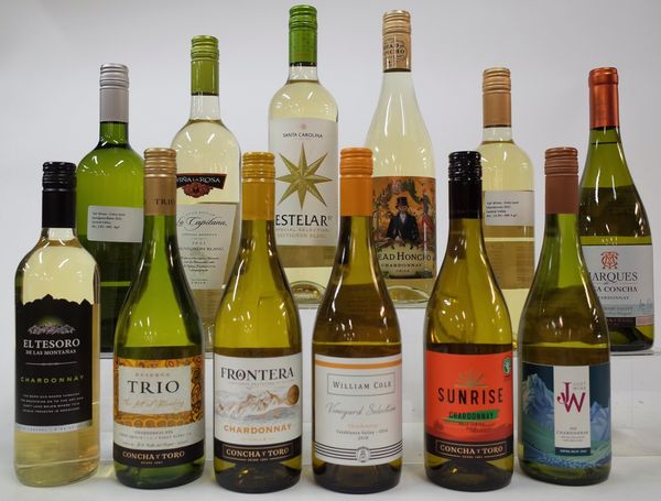 12 BOTTLES CHILEAN WHITE WINE