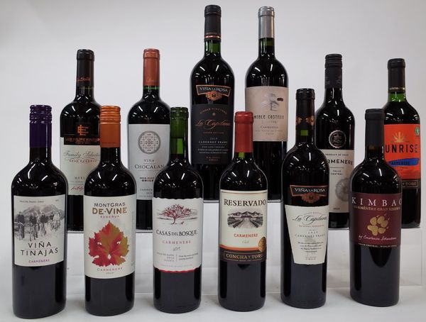 12 BOTTLES CHILEAN RED WINE