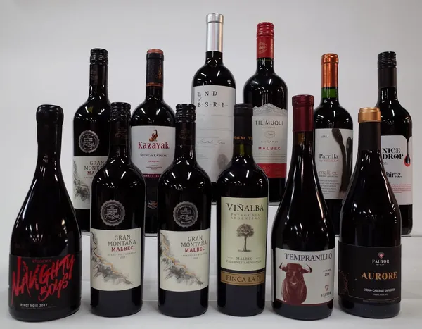 12 BOTTLES ARGENTINIAN AND MOLDOVAN RED WINE