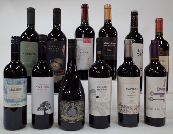 12 BOTTLES ARGENTINIAN RED WINE