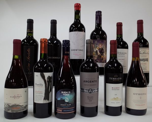 12 BOTTLES ARGENTINIAN RED WINE