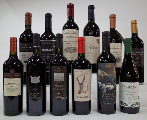 12 BOTTLES ARGENTINIAN RED WINE