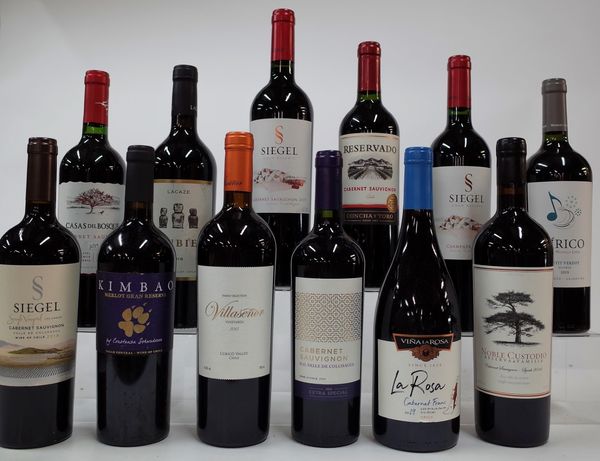 12 BOTTLES CHILEAN RED WINE