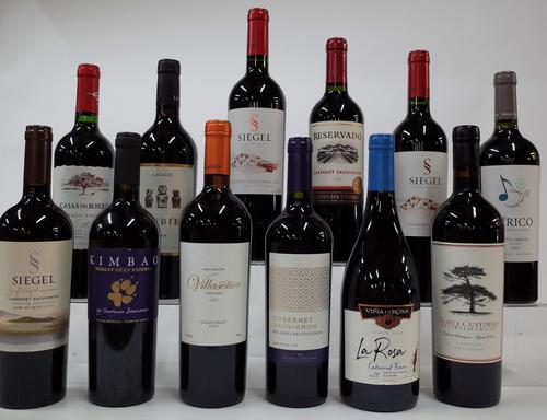 12 BOTTLES CHILEAN RED WINE